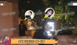 王安宇恋情爆料最新视频,甜蜜互动引网友热议